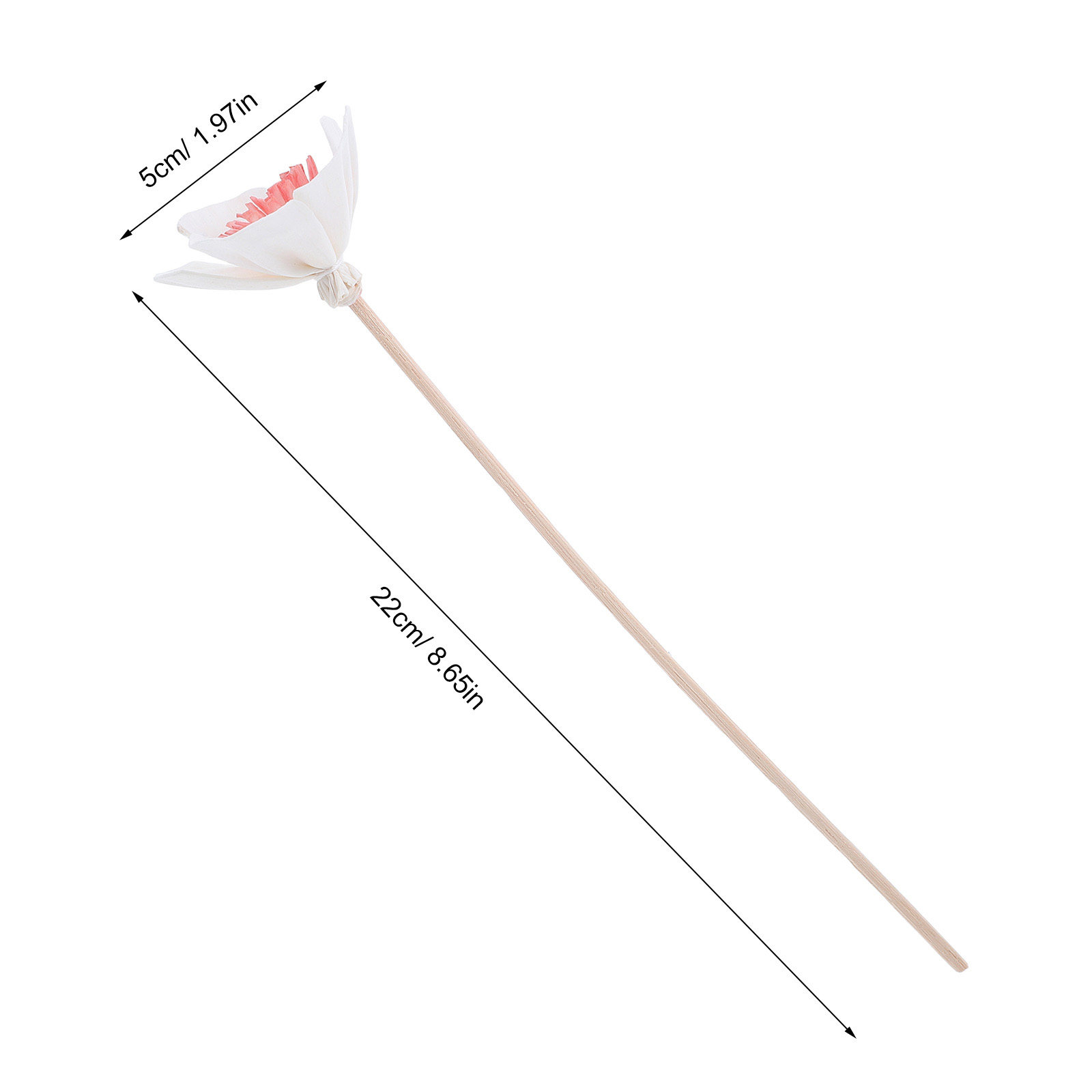 10Pcs Essential Oil Diffuser S - Home Fragrance Usa 评论和价格