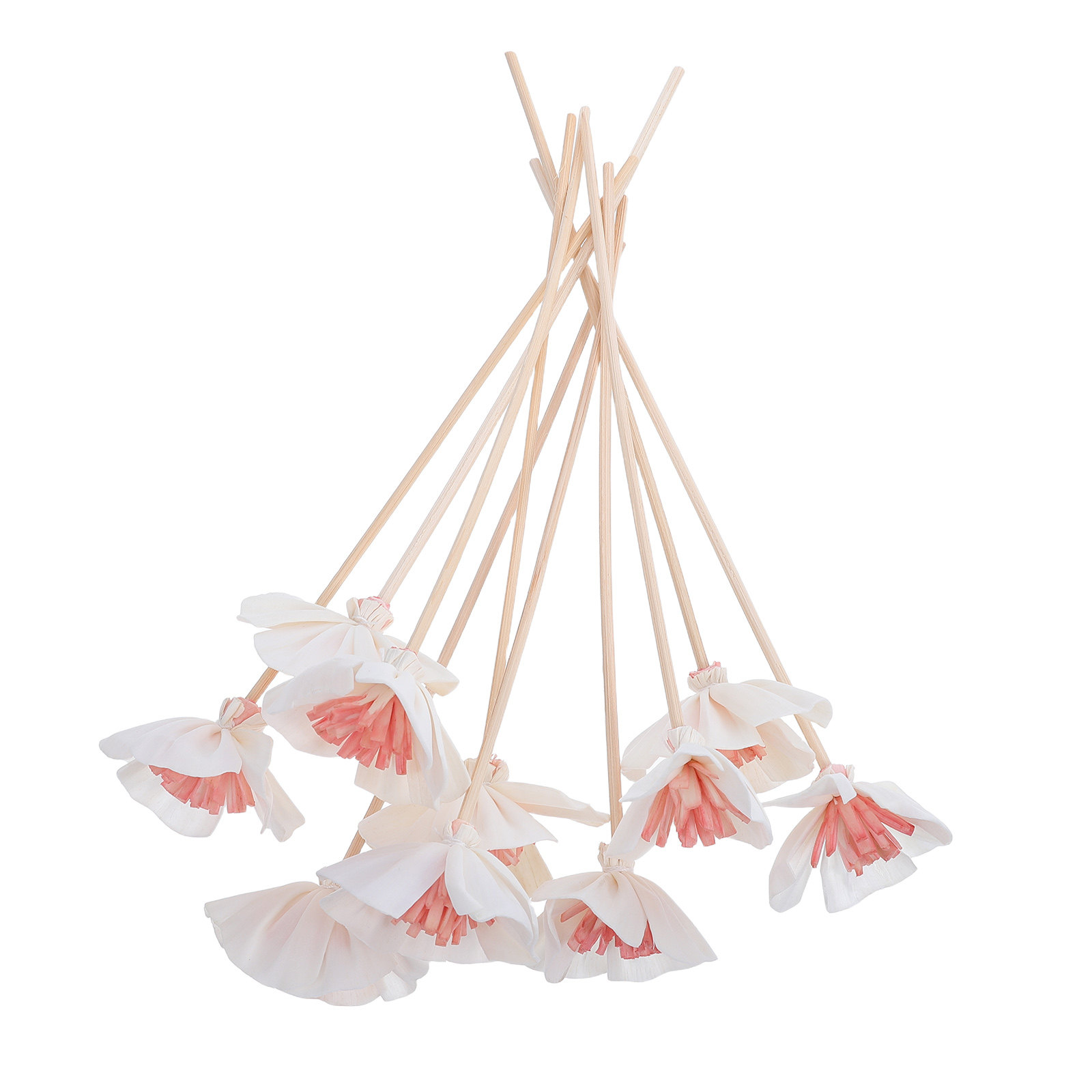 10Pcs Essential Oil Diffuser S - Home Fragrance Usa 评论和价格