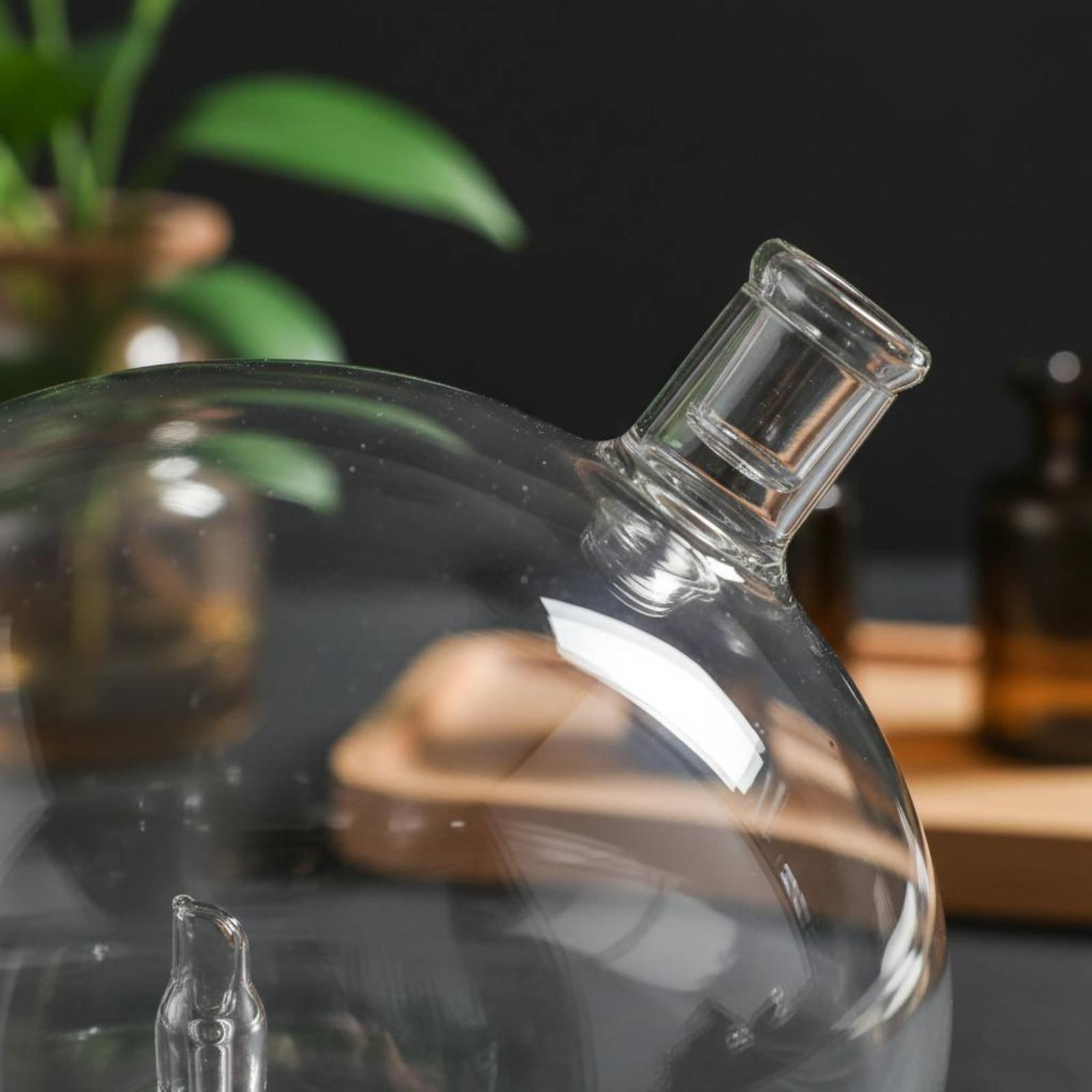 Diffuser Bottle Universal Fit  - Home Fragrance Usa 评论和价格